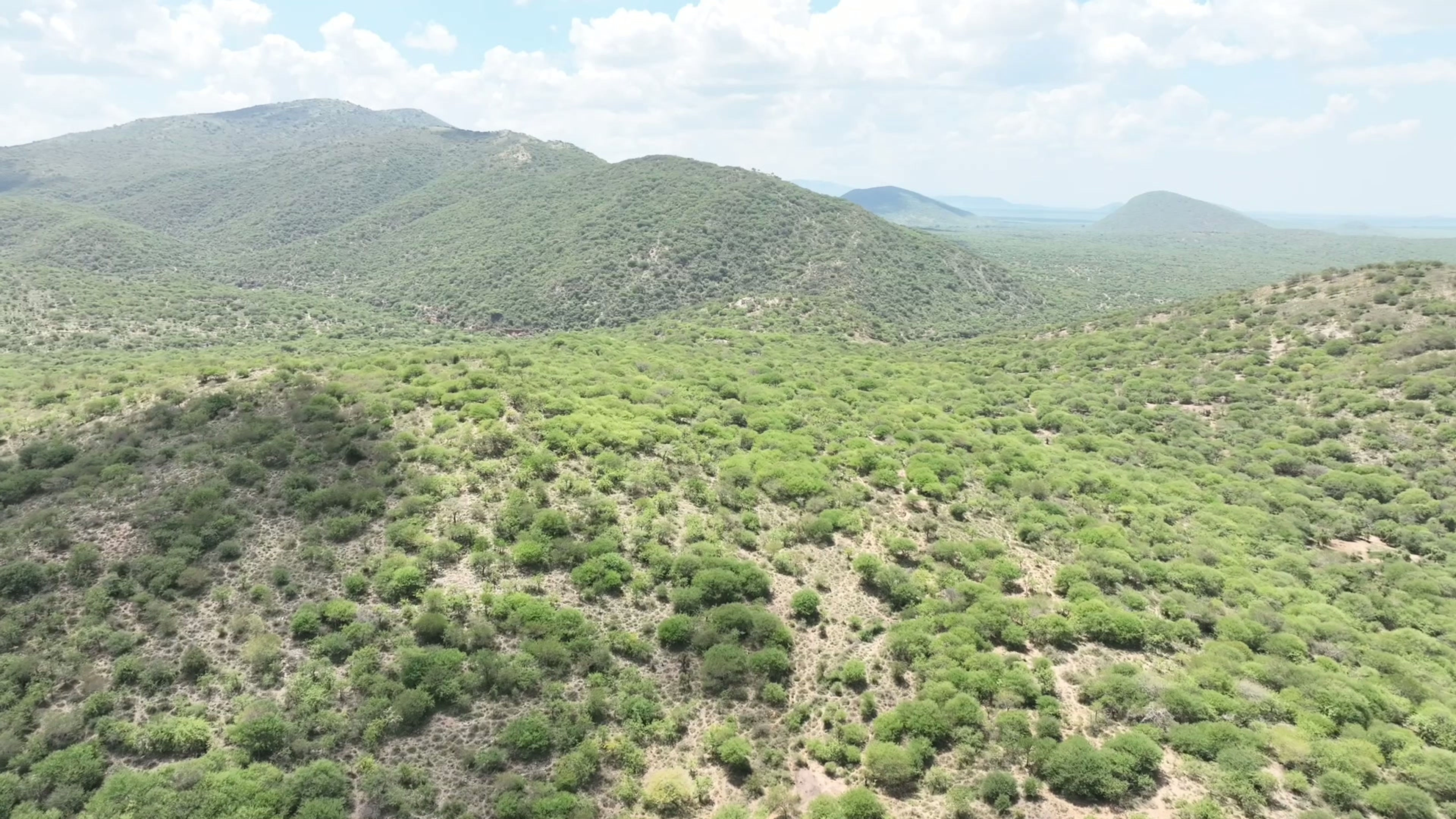 Virgin Farmland 2026